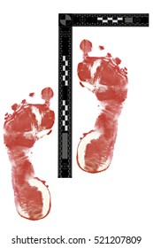 Bloody Male Foot Prints With Forensic Scale On White Background