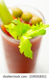 Bloody Mary Cocktail Prepared With Pure Vodka, Tomato Juice And Hot Pepper Sauce, Drink Decorated With Three Olives And Celery, Drink Hair Of The Dog