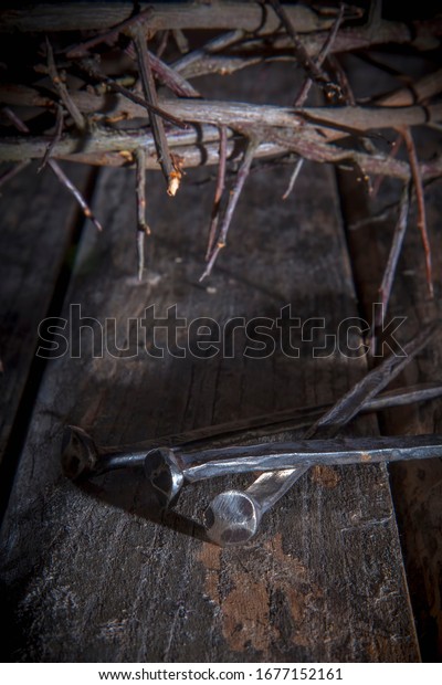 Bloody Nails Crown Thorns Symbol Passion Stock Photo 1677152161 ...