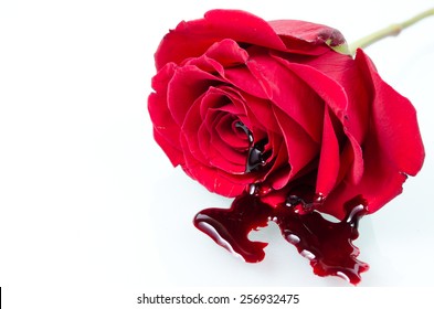 11,698 White Rose With Blood Images, Stock Photos & Vectors 