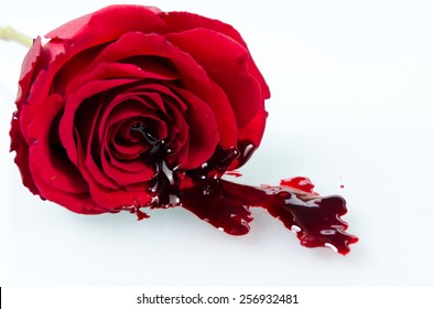 11,698 White Rose With Blood Images, Stock Photos & Vectors 