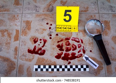 Bloody Trail Footwear Found Crime Scene Stock Photo 748538191 ...