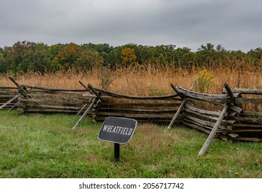 The Bloody Wheatfield, Gettysburg National Military Park, Pennsylvania, USA