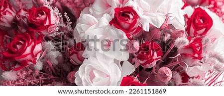 Bloom Bouquet of red and white Flower. Beautiful Floral Background. Panoramic banner.
