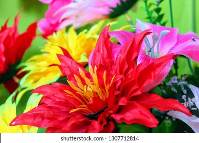 Bloom with grace