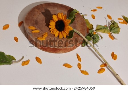 Blooming Beauty: Yellow Sunflower Bouquet on Wooden Rustic Table