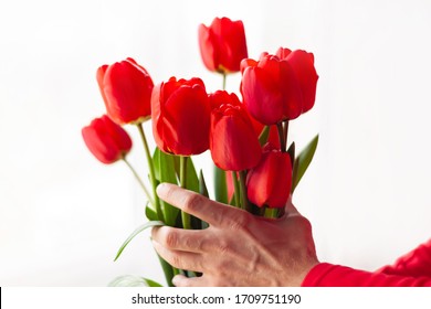 Blooming bouquet of amazing red tulips in male hands with natural sunlight on a window,selective focus.Bright high key flowers horizontal banner,greeting card.Interior Design romantic minimalism style - Shutterstock ID 1709751190