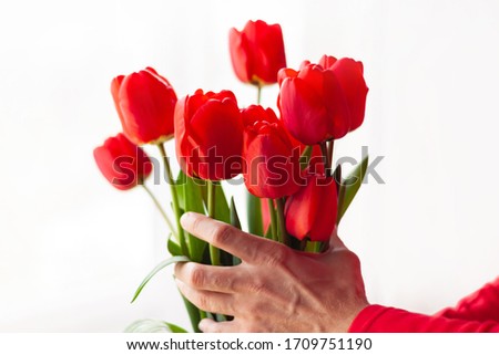 Blooming bouquet of amazing red tulips in male hands with natural sunlight on a window,selective focus.Bright high key flowers horizontal banner,greeting card.Interior Design romantic minimalism style