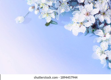 おしゃれ ブルー フラワー の写真素材 画像 写真 Shutterstock