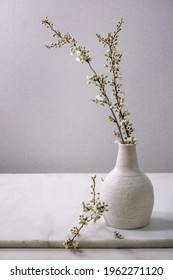 Blooming cherry branches in craft white porcelain vase on white marble table. Spring flowers interior decorations.