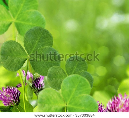 Similar – Foto Bild Blühender Klee, Natur, Makro