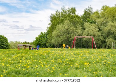 Blooming Dandelion On Green Meadow In Amusement Park For Kids 
White And Yellow Taraxacum Officinale Flowers In Grass On A Sunny Day In Spring Children Playground In Background