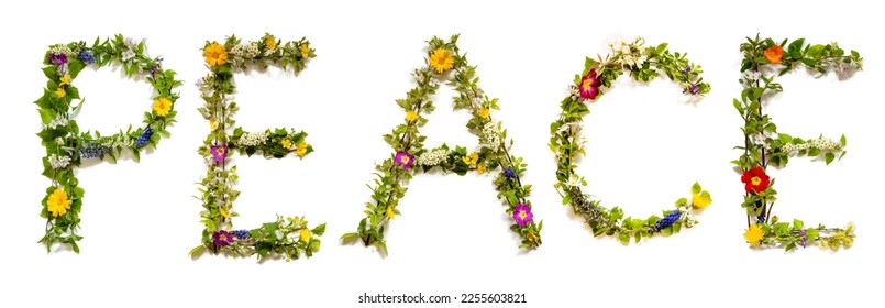 Blooming Flower Letters Building English Word Peace - Shutterstock ID 2255603821