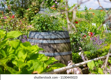blooming flowers at cottage garden at bavarian style rural countryside of south germany allgau near city wangen - Shutterstock ID 1130445023