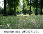 Blooming flowers and idyllic bench in Kurpark, Bad Pyrmont