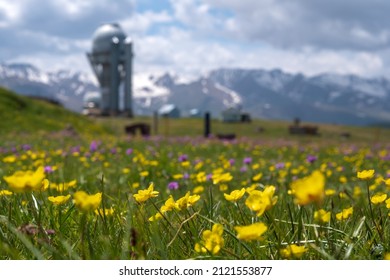 Blooming flowers on Assy plateau with observatory dome on background. Spring in Tien-shan mountains. Assy plateau in Kazakhstan. Tourism, travel concept. Beautiful nature landscape background.