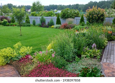 Blooming garden. A flower bed with bright shrubs and trees. Backyard lawn.