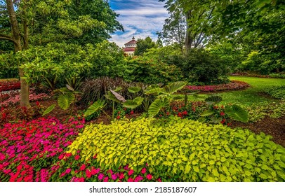 Blooming garden in summer landscape. Summer garden in blooming. Garden in summer blooming. Beautiful summer blooming garden scene - Shutterstock ID 2185187607