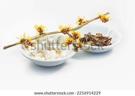 Blooming hamamelis branch (witch hazel), skin care cream and dried bark and leaves, natural cosmetics of the medicial plant, light background, copy space, selected focus, narrow depth of field