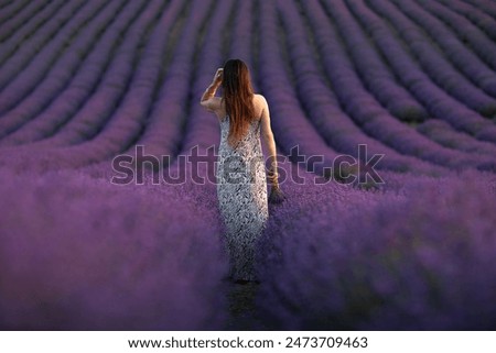 Similar – #A# Lavender Light