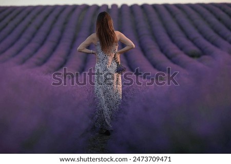 Similar – #A# Morning Sun Lavender 1