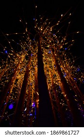 Blooming Lights, Denver Botanic Gardens