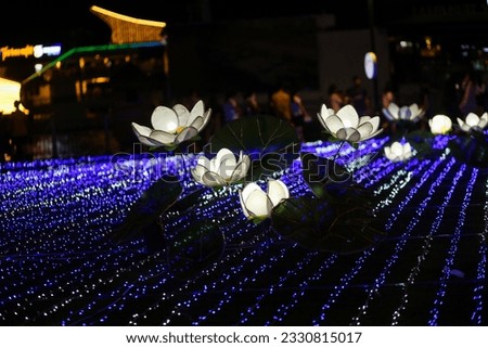 Blooming lotus flowers on the fresh water with led lights celebrating Vietnam-Japan diplomatic relations at Bach Dang Wharf Park, Ho Chi Minh City