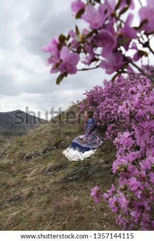 Blooming maralnik (rhododendron) in Altai mountains. Tourist girl in folk Pavlovo Posad shawl, scarf. Russian nature. Purple flowers of maralnik, rhododendron. Spring blossom in Altai Krai, Russia