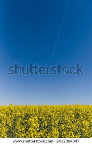 Similar – Image, Stock Photo 8+1 1/2 Colour photo