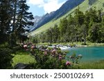 Blooming pink flowers of Rhododendron bush and lanscape with turquoise lake in mountains on background. On trail from Cauterets to lake Lac de Gaube. Pyrenees National Park, France