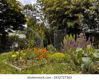 Blooming Polyculture Urban Garden with Annuals, Perennials, and Pollinator Plants