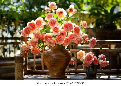 Blooming Rose Flowers Abraham Darby In A Sunny Day 