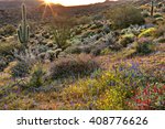 Blooming Sonoran Desert catching day