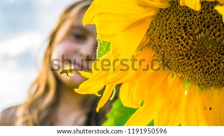 Blooming sunflower, flying bee and little girl. Flying bee to sunflower.
