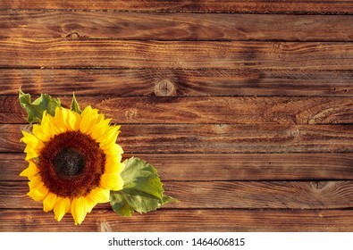 Rustic Sunflower Background Images, Stock Photos & Vectors | Shutterstock