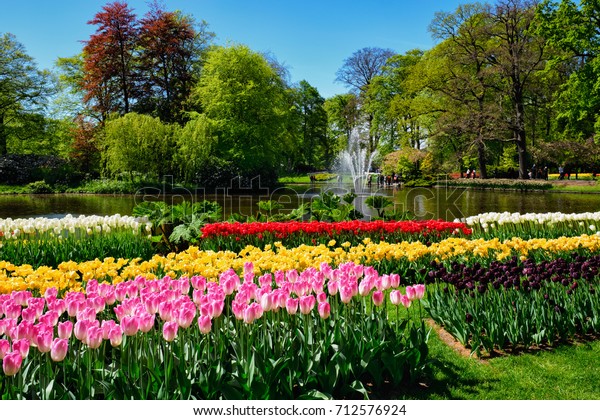花壇のケウケンホフに花が咲くチューリップ花壇 ヨーロッパの庭園 世界最大級の花園 観光名所の一つ オランダのリスセ の写真素材 今すぐ編集