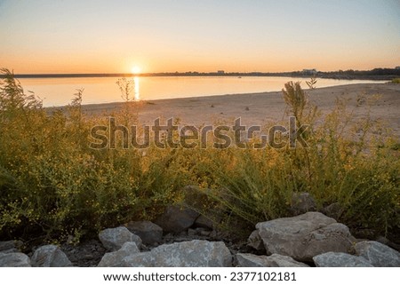 Blooming wildflower at rocky bank of Grapevine Lake in Texas, US with first appearance of light in the sky at dawn, sunrise, sandy shoreline, fishing, camping activities. Scenery waterfront landscape