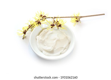  Blooming Witch Hazel (Hamamelis) And A Bowl With Natural Ointment, Medical Plant For Skin Care, Cosmetics And Alternative Medicine, Isolated On A White Background, Copy Space, Selected Focus