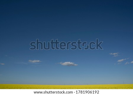 Similar – Image, Stock Photo 8+1 1/2 Colour photo