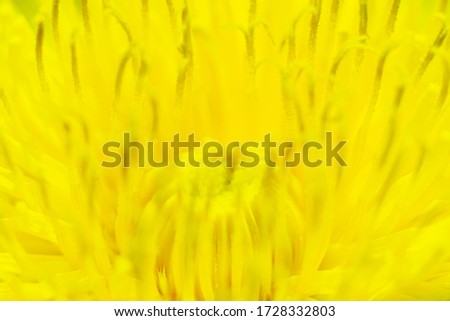 Image, Stock Photo honey yellow Wellness Life