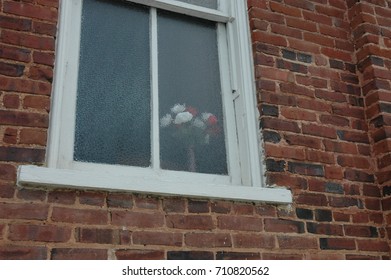 Blooms in window





