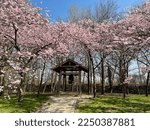 Blossem in Japanese Garden in Hasselt-Belgium