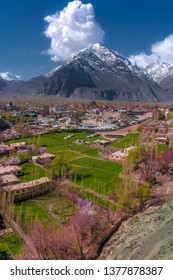 Blossom In Skardu