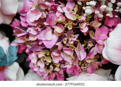 Blossom Symphony: A vibrant array of delicate blooms in soft pastel hues, creating a harmonious and enchanting display.