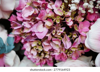 Blossom Symphony: A vibrant array of delicate blooms in soft pastel hues, creating a harmonious and enchanting display.