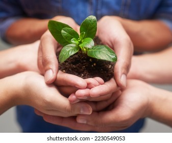 Blossoming and blooming. Shot of a group of hands holding a pile of soil with a plant in. - Powered by Shutterstock