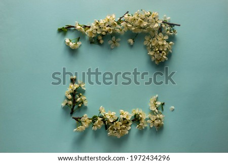 Similar – Clover frame on white background