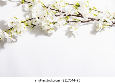 Blossoming Cherry Twig Isolated On White Background. Amazing Spring Blossom, Easter Or Wedding Gentle Concept