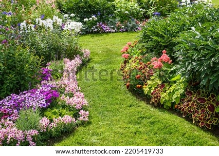 Blossoming flowerbeds with different types of colourful flowers on sunny day. Decorative element of park attracts visitors attention