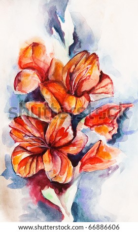 Blossoming gladiolus and poppy buds drawn by water color color on a water color paper